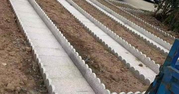 阜阳芝麻白花边石