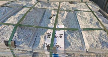 阜阳芝麻白蘑菇石，自然面