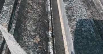 阜阳英国棕别墅线条